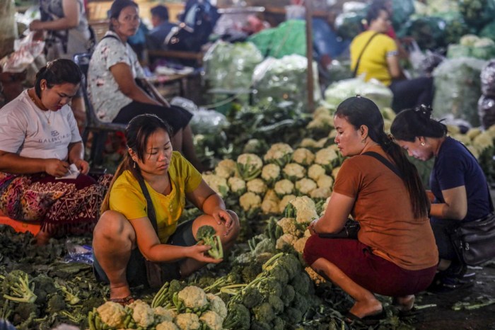 Kenaikan ppn 12 persen dan dampaknya terhadap inflasi di indonesia