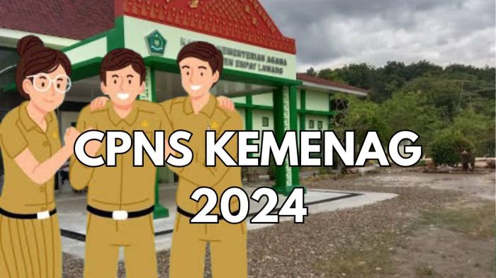 Cek hasil PPPK 2024 pakai nomor peserta dan NIK