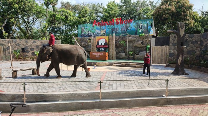 Semarang zoo