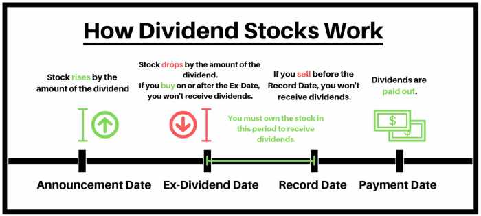 Dividend payout yield vs low decisions share stock difference stocks policy types prices efinancemanagement