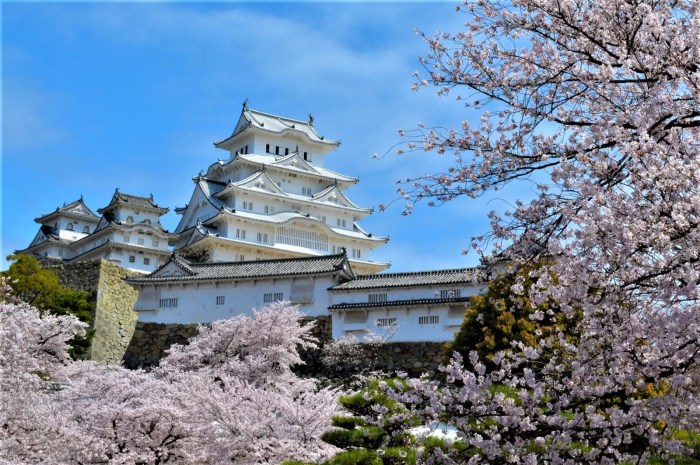 Wisata dan budaya populer yang menarik di Jepang