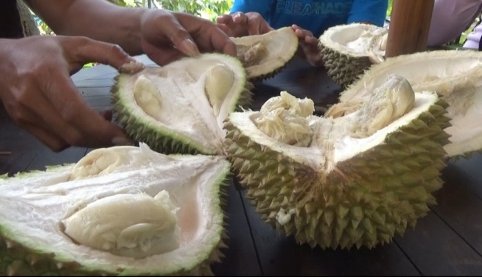 Makan durian di semarang