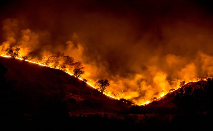 Berita kebakaran hutan di amerika