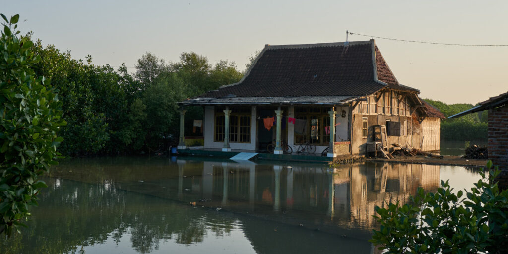 Alih fungsi lahan mangrove di banjir kanal timur semarang