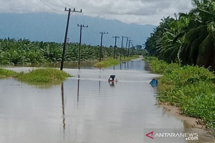 Banjir di barito tegalrejo hingga cilosari semarang timur