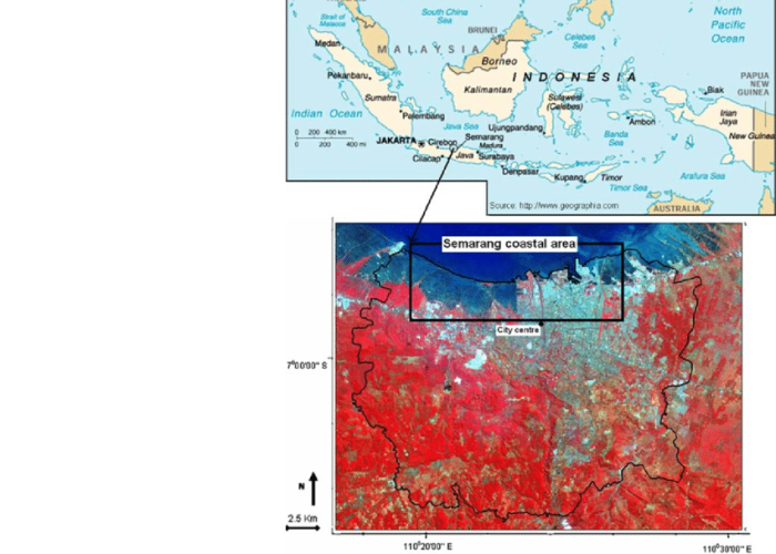 Ecology coastal java impact