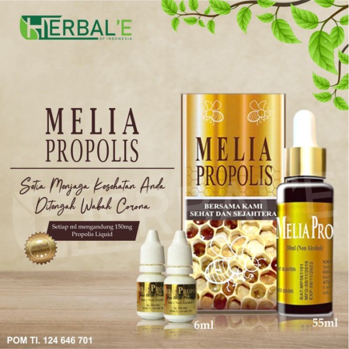 Distributor pt melia sehat sejahtera kota semarang bali