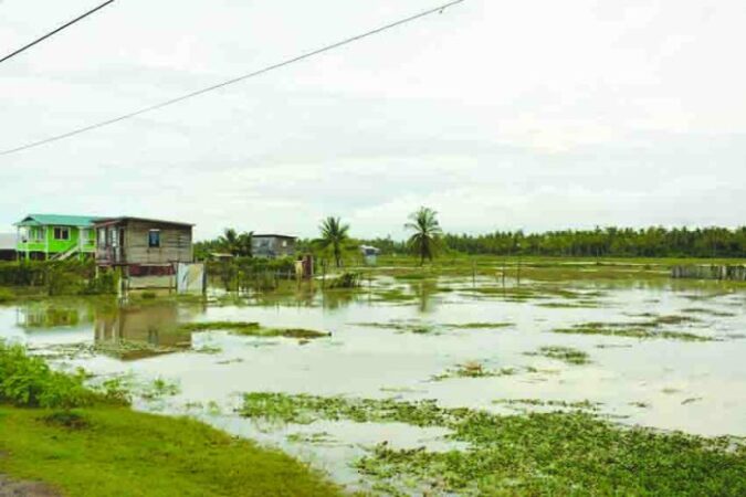 Banjir sawah besar semarang