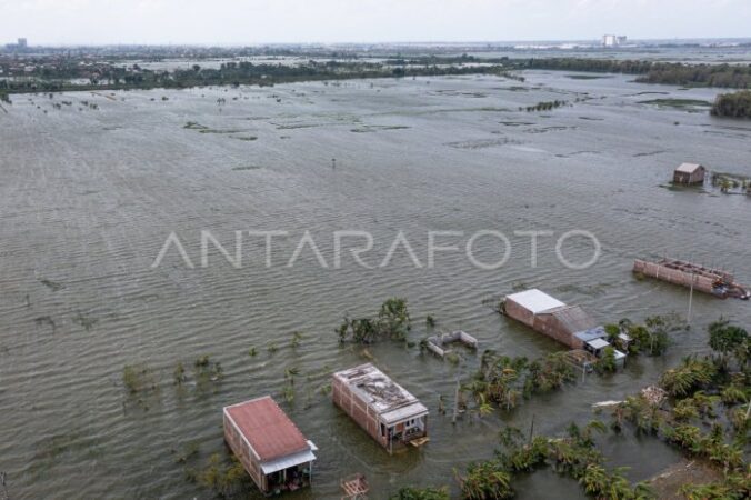 Banjir demak semarang hari ini