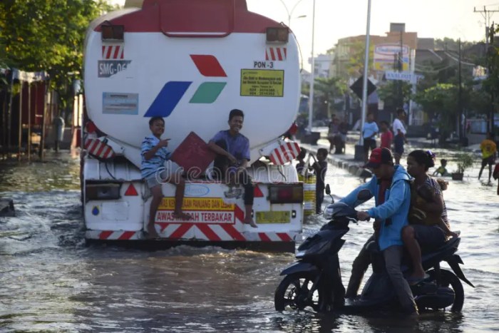 Flood rob semarang region coastal pooled preview